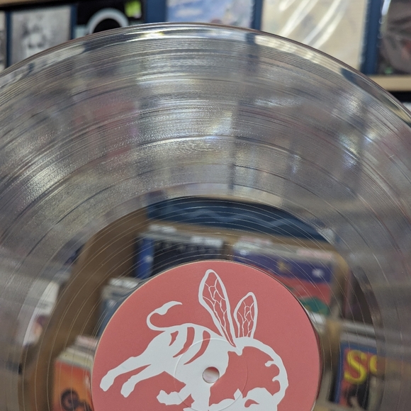 2016 The Format clear vinyl Rarities - Picture 3 of 13